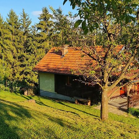 Hiska Ob Gozdu Villa Polzela Exterior foto
