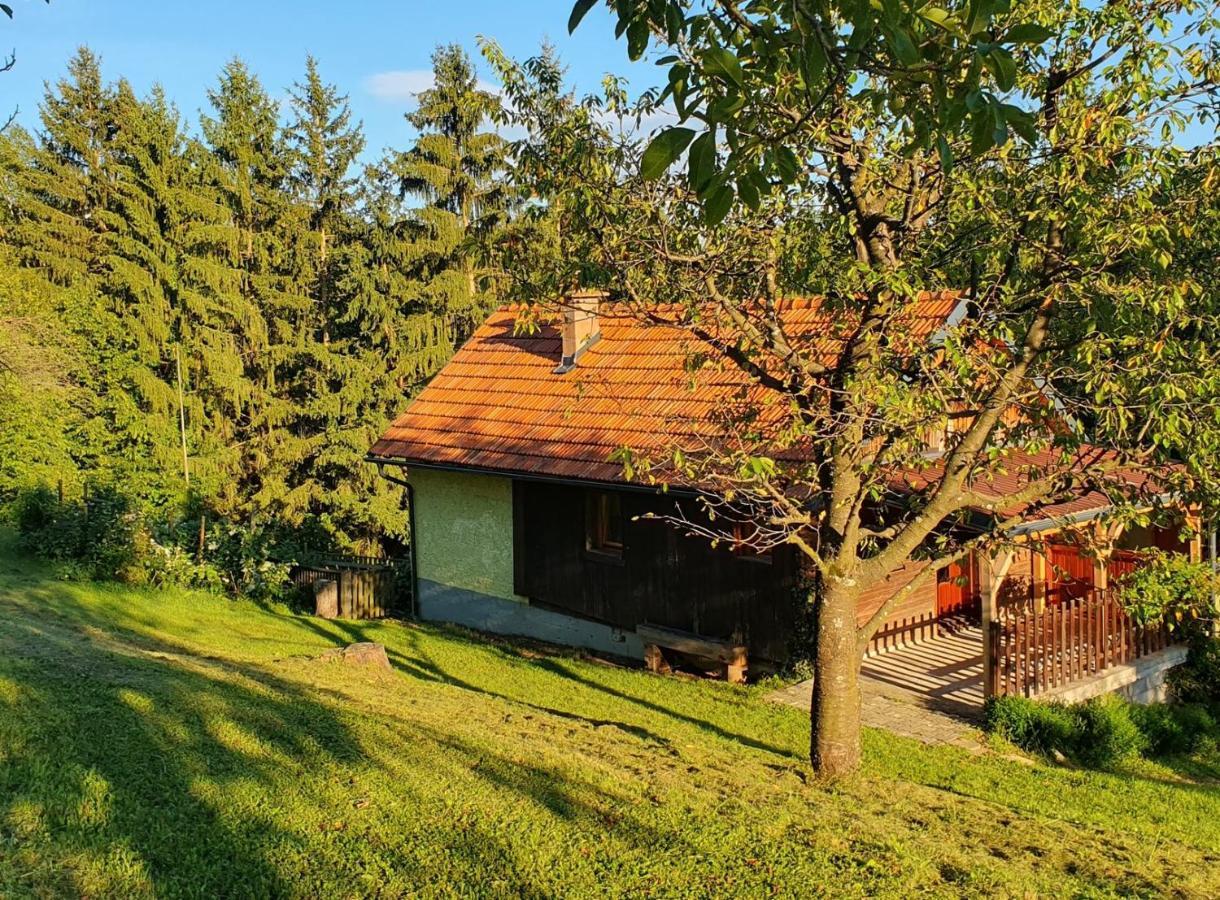Hiska Ob Gozdu Villa Polzela Exterior foto