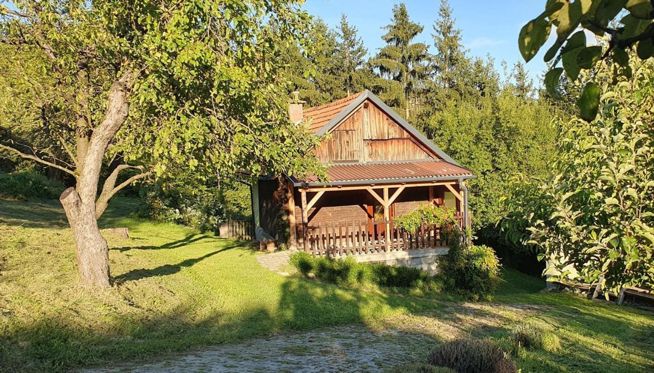 Hiska Ob Gozdu Villa Polzela Exterior foto